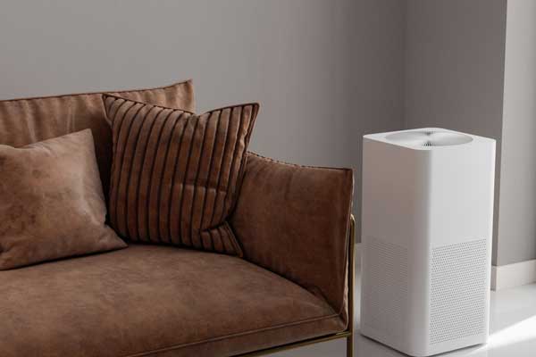 Indoor Air Purifier Installation Services Indoor Air Purifier Installation Services